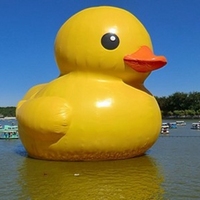 Dessin animé flottant gonflable géant de 12m-15m sur le lac de la mer