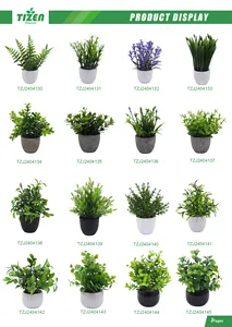 Tizen prix de gros personnalisé fausses fleurs plantes succulentes artificielles en pot pour la décoration intérieure extérieure