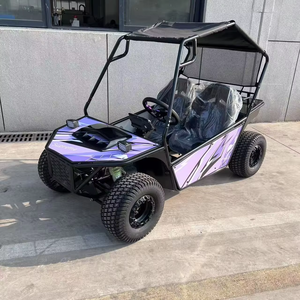 Karts de course électriques à deux places 1000W/48V Buggy Dune alimenté pour Parent-Enfant Off-Road Drift Adventure Fun Outdoor Activity - Product Image 6