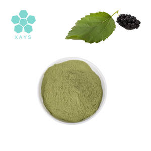 純粋な天然乾燥桑の葉の粉 - Product Image 2