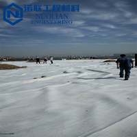 Geocomposite Drainage HDPE Mesh 3D Composite Geo Net Geonet pour le contrôle de l'érosion et la stabilisation des pentes