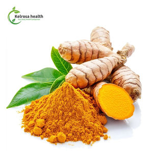 Halal Kosher extracto de cúrcuma curcumina 95% polvo Europa etiqueta blanca polvo de cúrcuma orgánica - Product Image 1