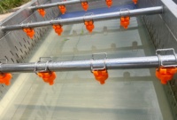 Groente-En Fruitreinigingsmachine Wortel Cassave Apple-Wasmachine Bubbelreiniging Met Ozon Machine
