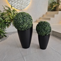Jardinières modernes minimalistes noires avec topiaire circulaire verte pour la décoration intérieure