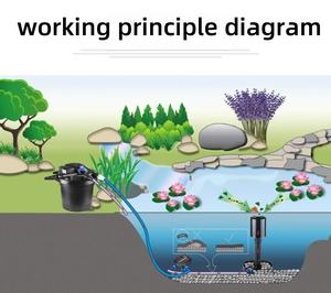Usmllepet Bestseller Plastic Skimmer Zwembad Oppervlakte Reinigingsapparatuur Skimmer Voor Ecologische Visvijver Boerderij Schilderachtige Meer - Product Image 5