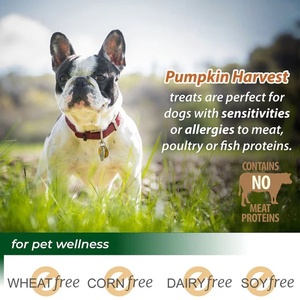 OEM/ODM Marque Privée Friandises Molles pour Chiens Soutien Immunitaire Huile de Poisson Absorption Rapide Vitamines Minéraux Santé des Articulations Digestion Sensible - Product Image 5