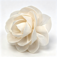 Diffuseur de fleurs en bois de Sola fait main, blanc, service de couleur personnalisée, décoration intérieure