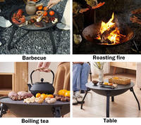 Barbecue extérieur au bois, brasero portable en acier, poêle à charbon pliable pour patio et jardin
