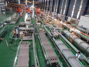 Jugo Concentrado con Sabor a Jengibre y Limón, Línea Especial de Procesamiento de Jugos - Product Image 2