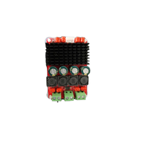 Carte d'amplificateur audio de classe D 12V 2*50W Module d'amplificateur audio TPA3116