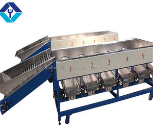 Machine de tri et de classement de fruits et légumes nouvelle condition - Product Image 1