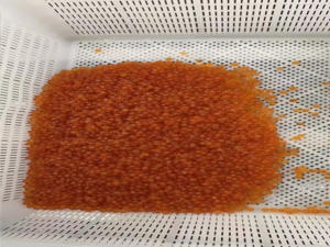 Caviar <span class=keywords><strong>de</strong></span> pescado <span class=keywords><strong>de</strong></span> salmón congelado Tarro <span class=keywords><strong>de</strong></span> vidrio <span class=keywords><strong>de</strong></span> 3oz con caja <span class=keywords><strong>de</strong></span> huevas <span class=keywords><strong>de</strong></span> trucha roja rosa y embalaje <span class=keywords><strong>de</strong></span> bolsa - Product Image 4