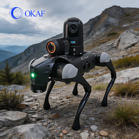 OKAF Sicherheits-Roboterhund mit KI, Allterrain-Fähigkeit, Hochleistungsfunktionen, WLAN-Unterstützung, Entwickelbar für Waldvermessung
