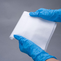 WIPESTAR Lingettes industrielles pré-saturées, échantillons gratuits, lingettes de nettoyage robustes texturées pour dégraisser et éliminer les taches d'huile
