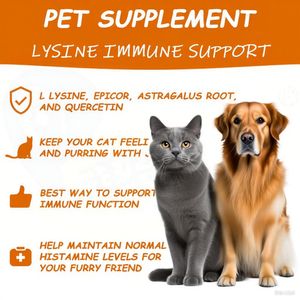 Masticables suaves de lisina personalizados <span class=keywords><strong>para</strong></span> perros, suplementos <span class=keywords><strong>para</strong></span> mascotas, cuidado de la salud, tratamiento de peso muscular y alimentos de apoyo inmunológico - Product Image 2