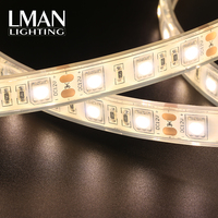 Bande lumineuse LED 5050 60 LED, IP65, haute luminosité, étanche, découpable, PCB 10 mm de largeur, DC12V/24V