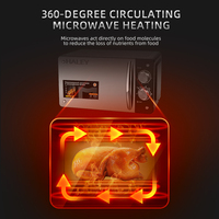 HALEY Offres Irrésistibles Four à Micro-Ondes 220V 20L pour Usage Domestique, Appareil de Cuisson Électrique à Poser