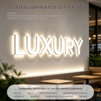 Enseignes lumineuses 3D personnalisées à LED, lettres LED murales pour les magasins de détail et les réceptions d'hôtels