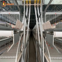 Système de cages à poulets de type H robustes, galvanisées à chaud, équipement avicole pour l'élevage intensif de poulets