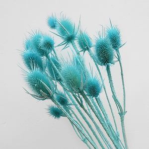 Yunnan Usine Pas Cher Fleur Séchée Fleurs Artificielles <span class=keywords><strong>Chardon</strong></span> pour Mariage - Product Image 5
