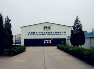 Nhà Máy OEM Một Bước Home Sử Dụng Nước Tiểu Mang Thai Kiểm Tra Strip - Product Image 6