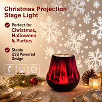 Projecteur LED de Noël alimenté par USB, ABS, à changement de couleur, motifs rotatifs dynamiques, 16 diapositives à thème, cheminée, nuit, Halloween