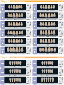 Dents en résine acrylique pour blanchiment de la bouche, prothèse dentaire en résine pour laboratoire - Product Image 6