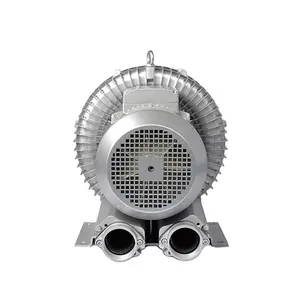 Dg-200-11 电动空气泵香港 ex 证明 bug 鼓风机锻造鼓风机