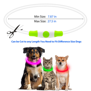 Pet Supplies LED <b>Dog</b> Pets Collars USB Rechargeable with Design Glowing <b>Dog</b> Collar Adjustable Flashing Collar Led for <b>Dogs</b> - Product Image 4