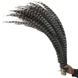 Plumas Naturales Marrones de Cola Larga, <span class=keywords><strong>Pluma</strong></span> Artificial de Faisán para Fiestas, Carnaval, Decoración del Hogar, Bodas, Jarrones, Manualidades, Disfraces - Product Image 1
