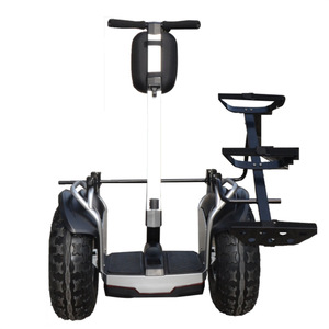 Vehículo de dos ruedas inteligente con equilibrio automático, versión Golf, sin escobillas, plegable, con batería de litio, capacidad de 150 kg, suministro transfronterizo. - Product Image 4