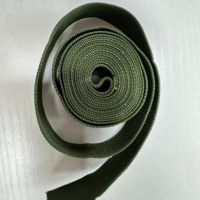 Venta caliente Moq bajo 100% Nylon verde Correas de nylon palmeadas para la industria del paraguas