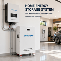 Batterie solaire OEM/ODM 51.2V 280Ah 300Ah 314Ah pour stockage d'énergie domestique 16kWh LiFePO4 avec BMS JK pour usage domestique