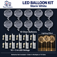 Kit de 10 ballons à bulles LED transparents en PVC avec guirlandes lumineuses de 3 m, blanc chaud, multicolore, décoration douce pour mariage et fête