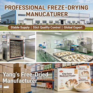 Bột Nấm Sò Hoàng Đế Sấy Khô 100% Nguyên Chất Tự Nhiên, Hạng Thực Phẩm, Bột Chiết Xuất Số Lượng Lớn Dùng Làm Thực Phẩm Bổ Sung Sức Khỏe - Product Image 6