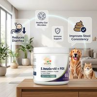 Poudre de probiotiques OEM/ODM pour chats, stimulant quotidien de la vitalité, compléments probiotiques pour la santé physique des chats