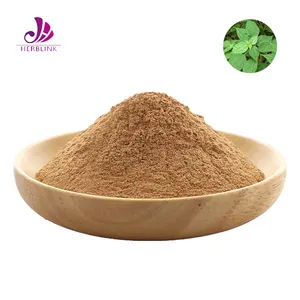 Natural Stinging Nettle Root Extract Powder Nettle Leaf Extract