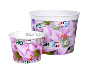 Ice Cream Pint Containers with Lids 1 Quart Each 2 Containers Purple