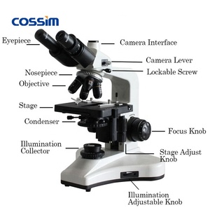 <span class=keywords><strong>Microscopes</strong></span> biologiques trinoculaires série BL-123 40X ~ 1600X Microscope de laboratoire composé biologique avec caméra CMOS numérique - Product Image 3