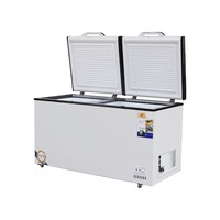 Réfrigérateur horizontal grande capacité à congélation rapide, congélateur à double porte