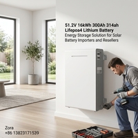 Batterie au lithium LiFePO4 51,2 V 16 kWh 314 Ah, prix d'usine compétitif, idéale pour les importateurs et les revendeurs B2B de stockage d'énergie solaire