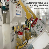 Machine automatique de mise en sac de 20 kg, 25 kg, 50 kg avec pesage et emballage pour poudres fines et produits chimiques