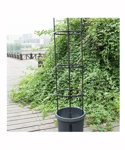 花园塑料涂层钢金属番茄笼架，用于攀爬植物