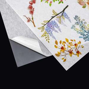 Papel Adhesivo Transparente para Impresión de Inyección de Tinta FX, 8.5x11 A4, Papel de Arroz Washi, con Respaldo de Plástico Transparente para Impresora - Product Image 6
