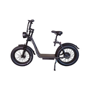 Scooter Alucard CS-P24 750W avec siège, batterie au lithium, moteur sans balais de 20 pouces, freins à disque doubles, 50-60 km d'autonomie, étanche - Product Image 6