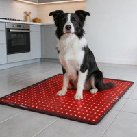 Appareil de thérapie par lumière rouge infrarouge LED 660nm 850nm pour soulager la douleur, fabriqué en Chine par un fabricant de Shenzhen