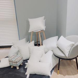Wholesale 45x45 18x18 20x20 Pillow <strong>Inserts</strong> Coussin <strong>Cushions</strong> <strong>for</strong> Home Decor - Product Image 4