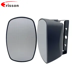 China Wholesale High Quality 5 Inch 2-way Wall-mounted loudspeakers