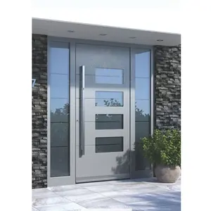 Wrought iron glass entry door