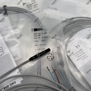 SME-8M-ZS-24V-K-2.5-OE 543872 磁気スイッチ - Product Image 1